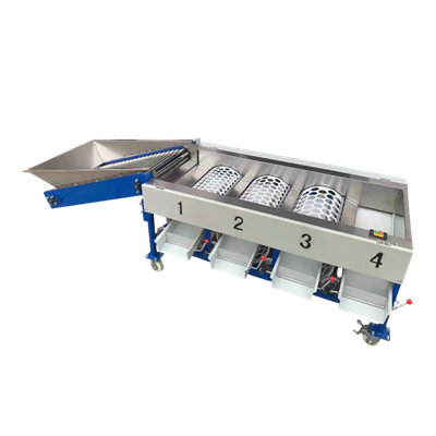 Avocado Sorting Machine