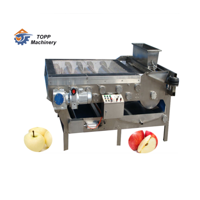 Belt Fruit Jucing Machine