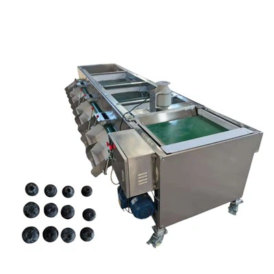 Blueberry Sorting And Selecting Machine
