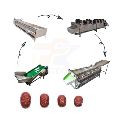 Date Washing Drying Sorting Line