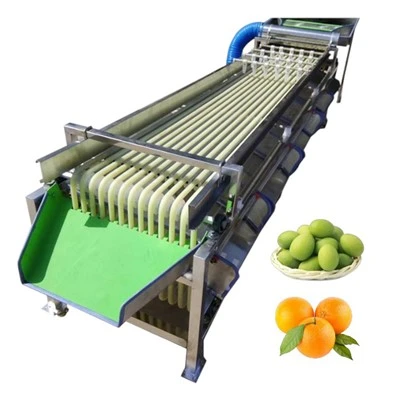 Fruit Size Grading Machine