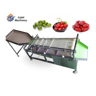 Olive Sorting Machine