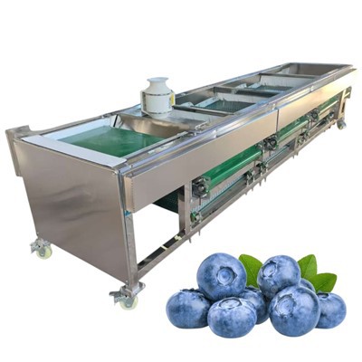 Sorter Grading Blueberry Sorting Machine