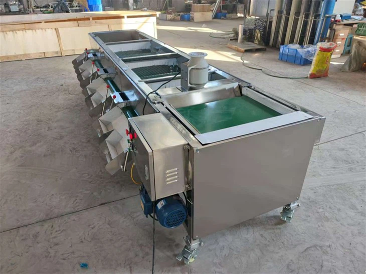 Wholesale Berry Grading Machine (3)